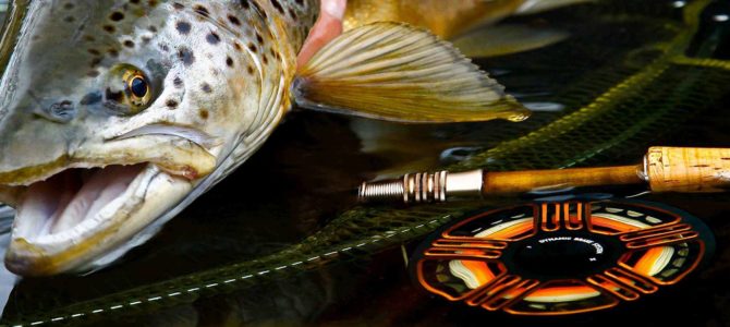 Large brook dun / march brown fly fishing – emerger & dun fly patterns by Steffan Jones