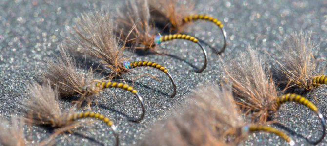 River emerger pattern – an emerger for all seasons by Steffan Jones